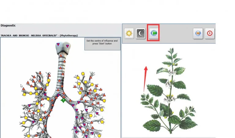 Biorezonans NLS HUNTER 4025 – Zastosowanie fitoterapi002