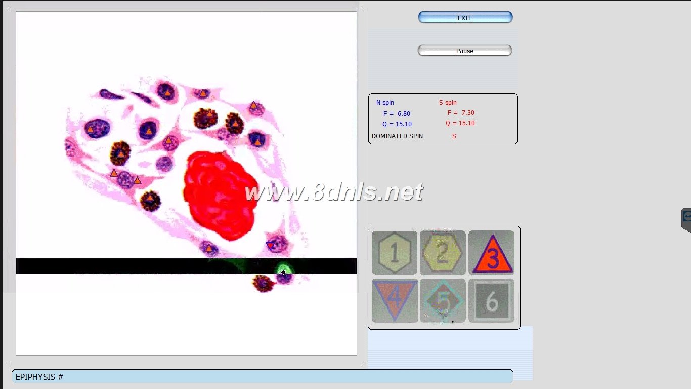 Biorezonans 8D NLS