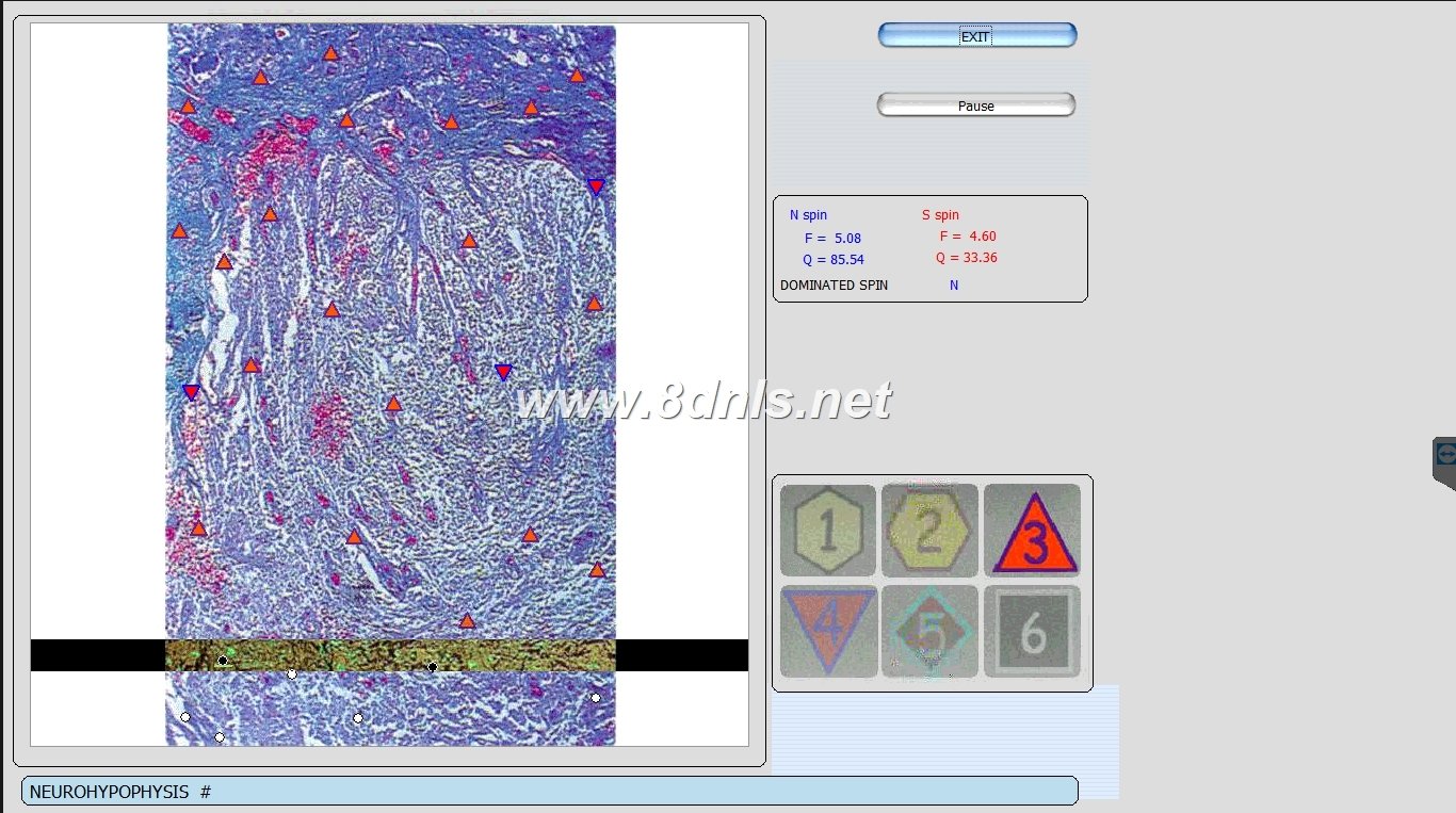 Biorezonans 8D NLS
