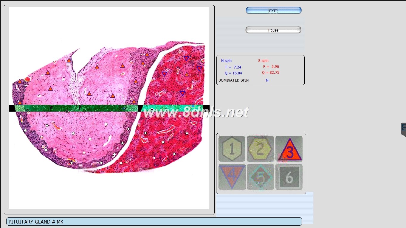 Biorezonans 8D NLS