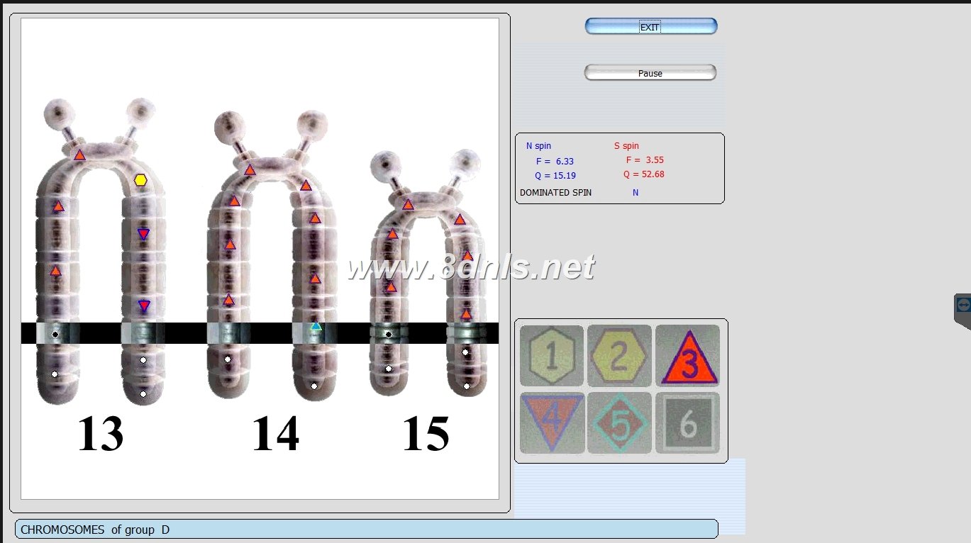 Biorezonans 8D NLS