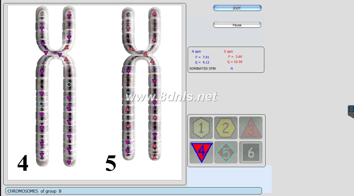 Biorezonans 8D NLS
