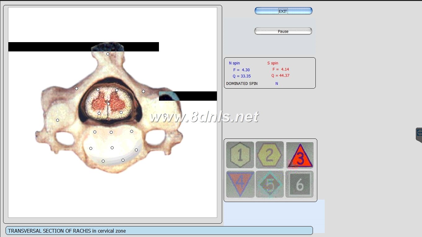 Biorezonans 8D NLS