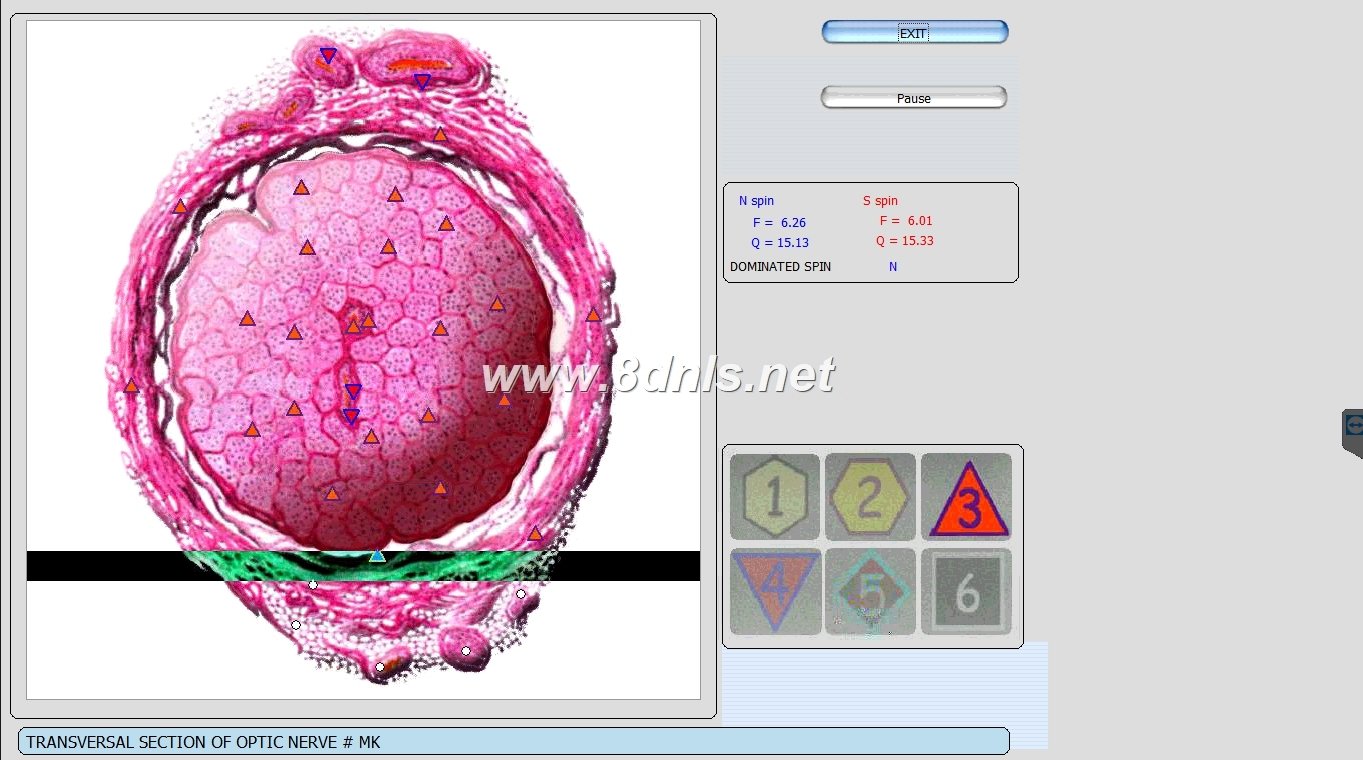 Biorezonans 8D NLS