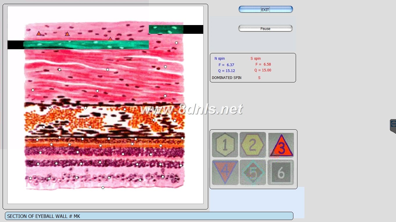 Biorezonans 8D NLS