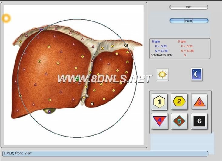 Biorezonans 8D NLS