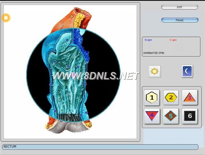 Biorezonans NLS w stomatologii - Rewolucyjne podejście do diagnostyki 10 Biorezonans NLS