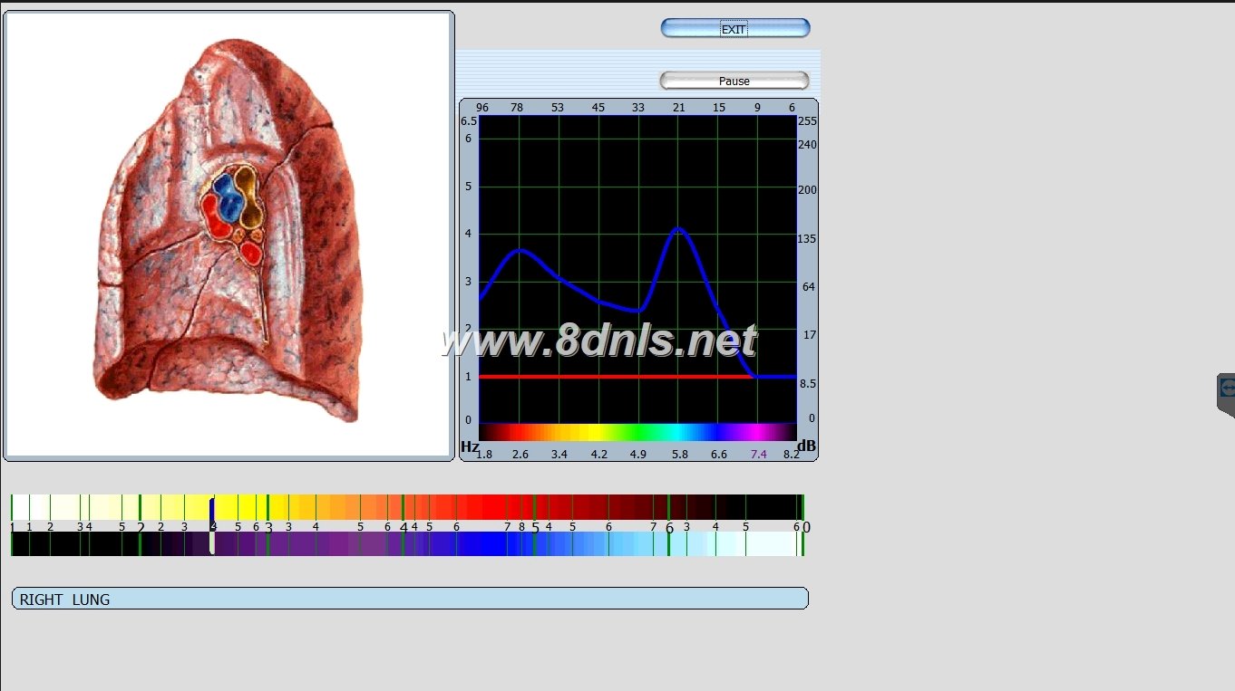 biorezonans 8d nls