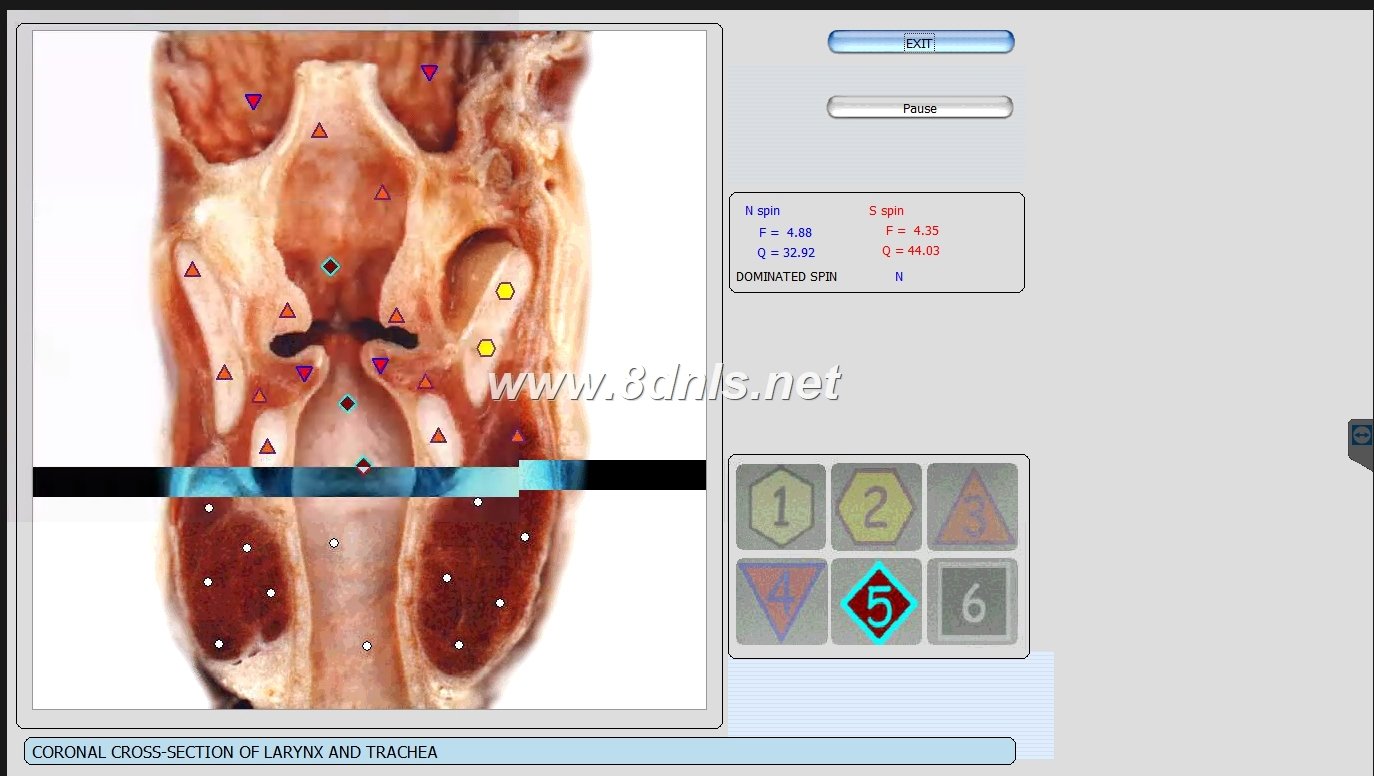 Biorezonans 8D NLS