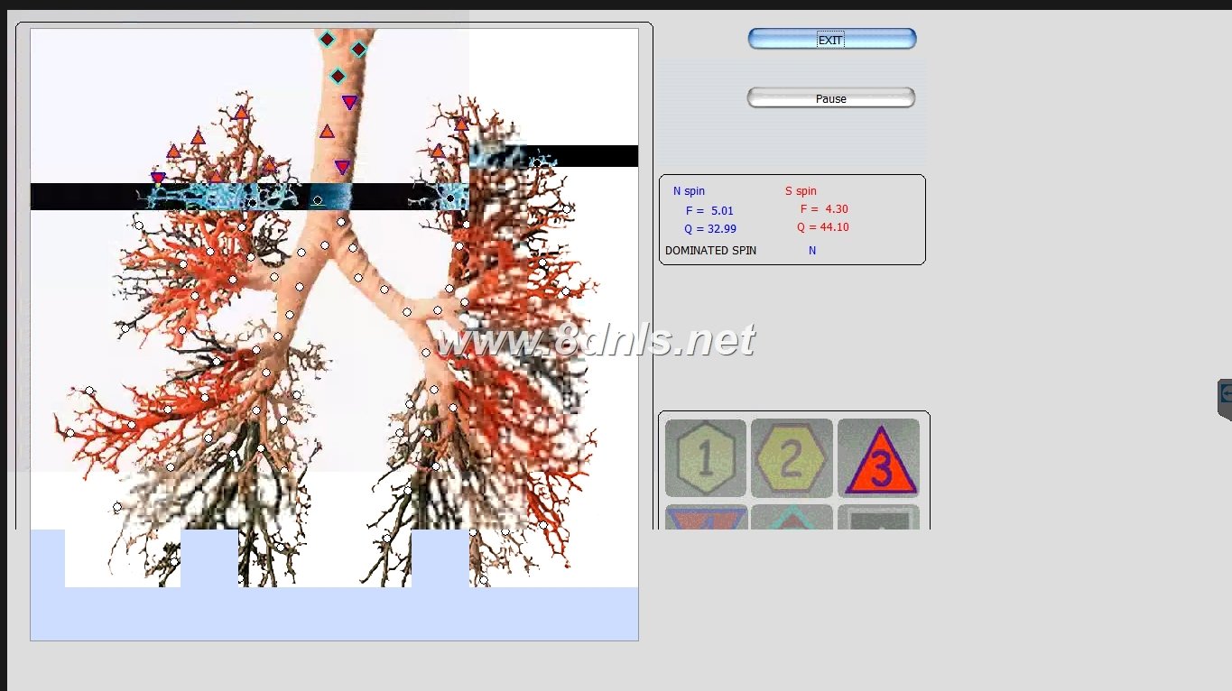 Biorezonans 8D NLS