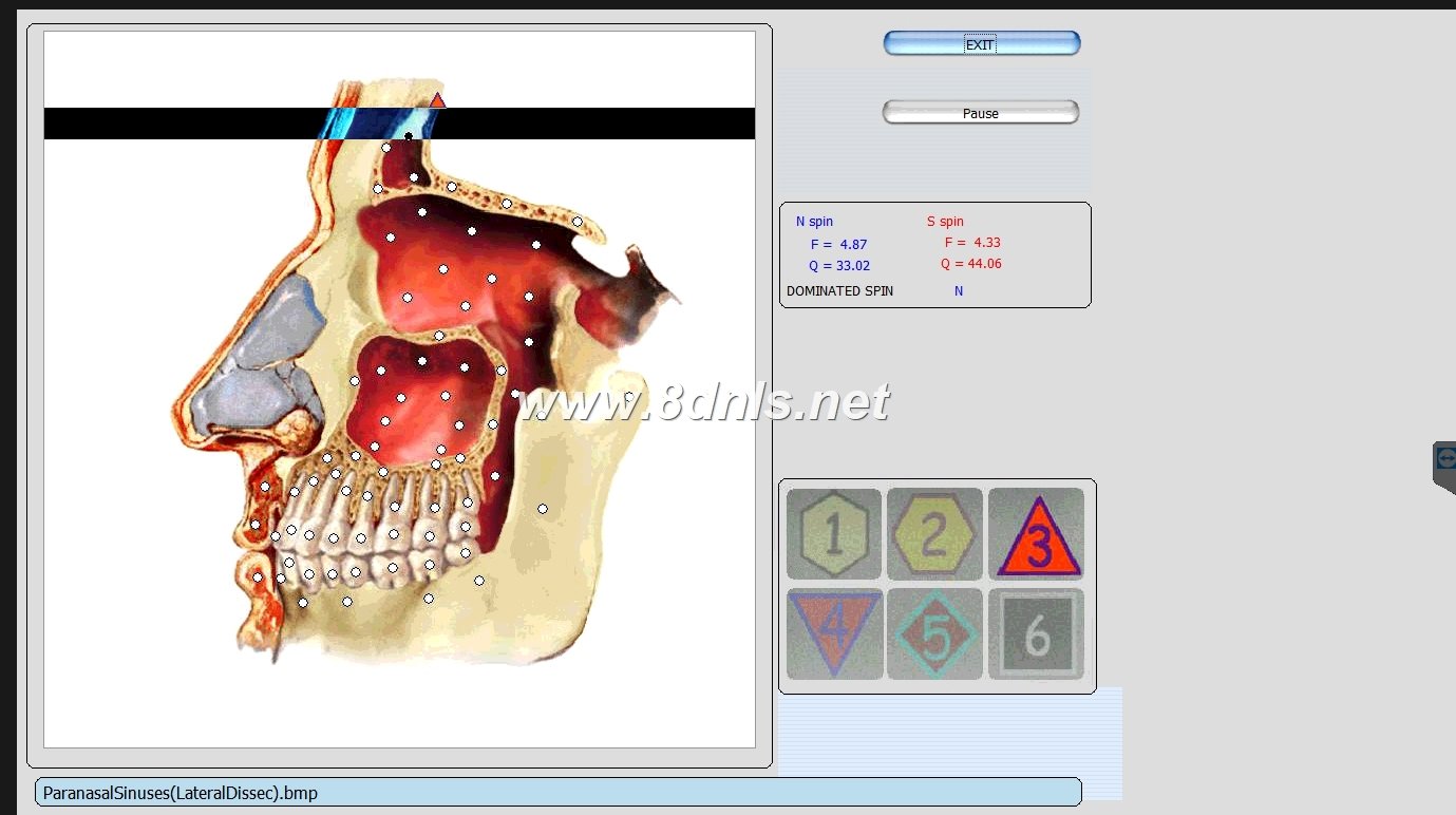Biorezonans 8D NLS