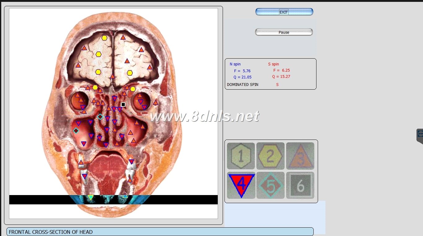 Biorezonans 8D NLS