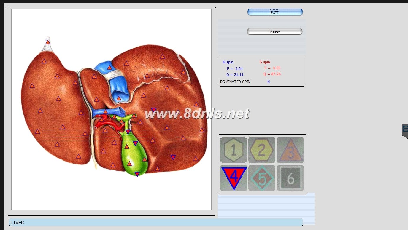 biorezonans 8d nls