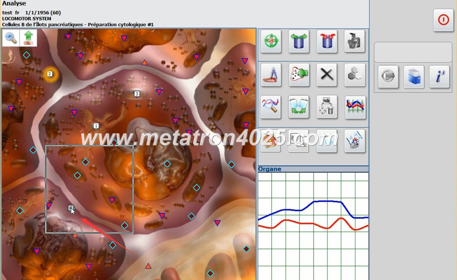 Biorezonans Metatron GR 4025 Hunter