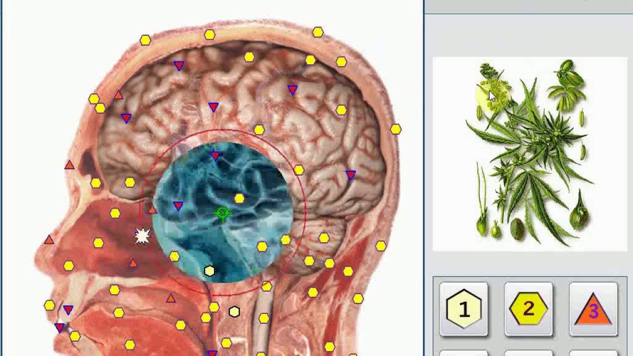 biorezonansu NLS