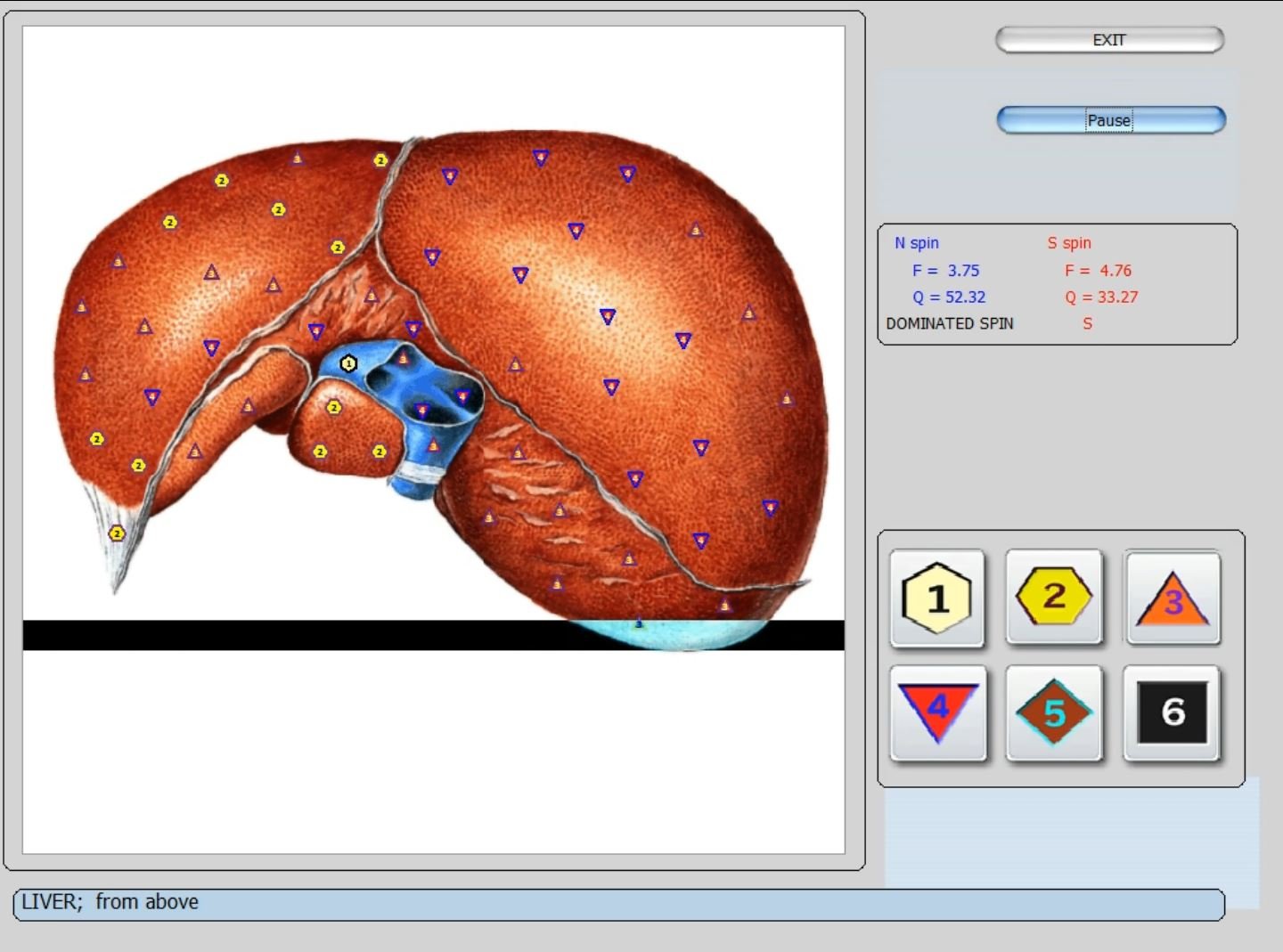 Biorezonans 8D NLS