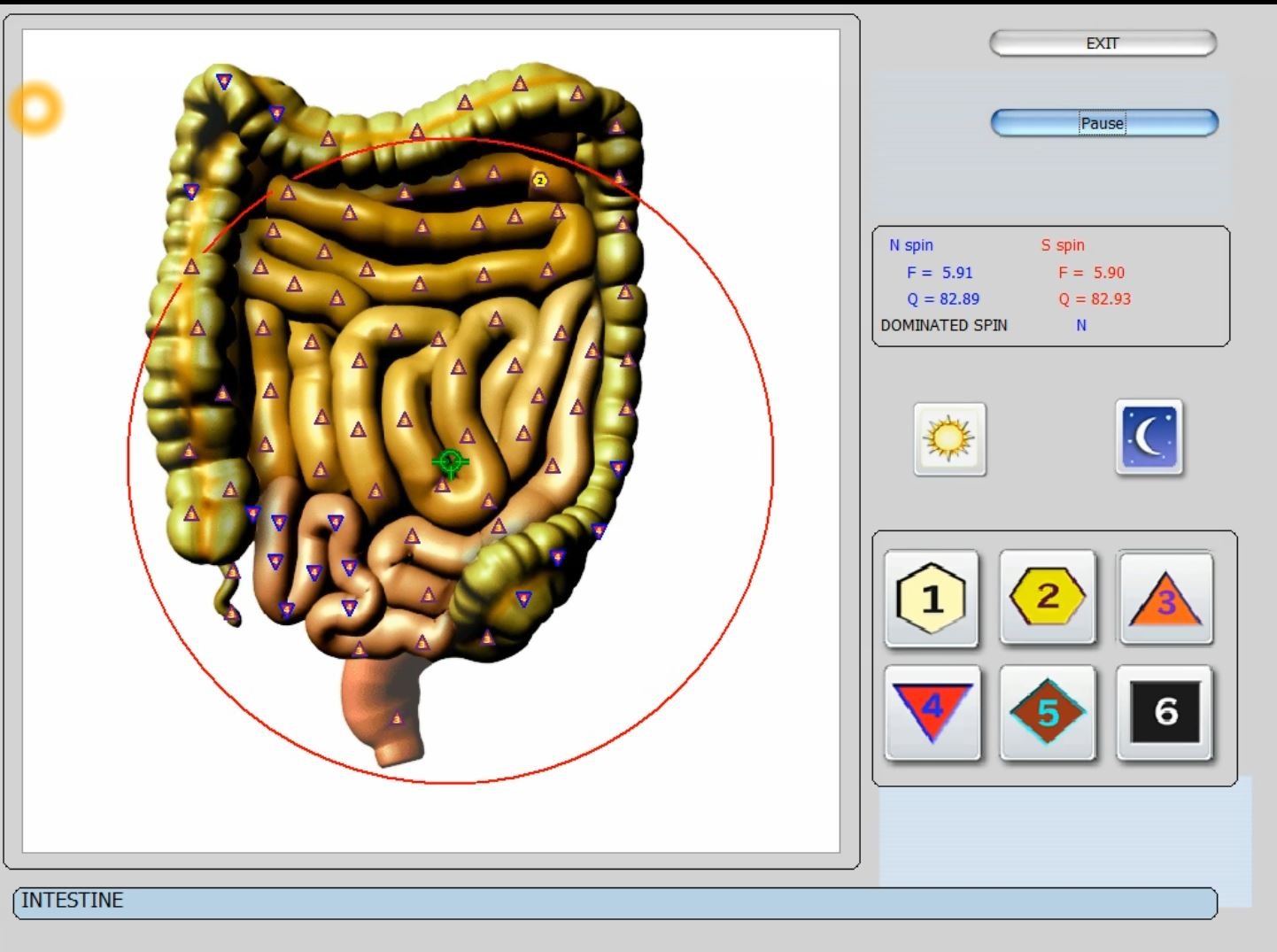 Biorezonans 8D NLS