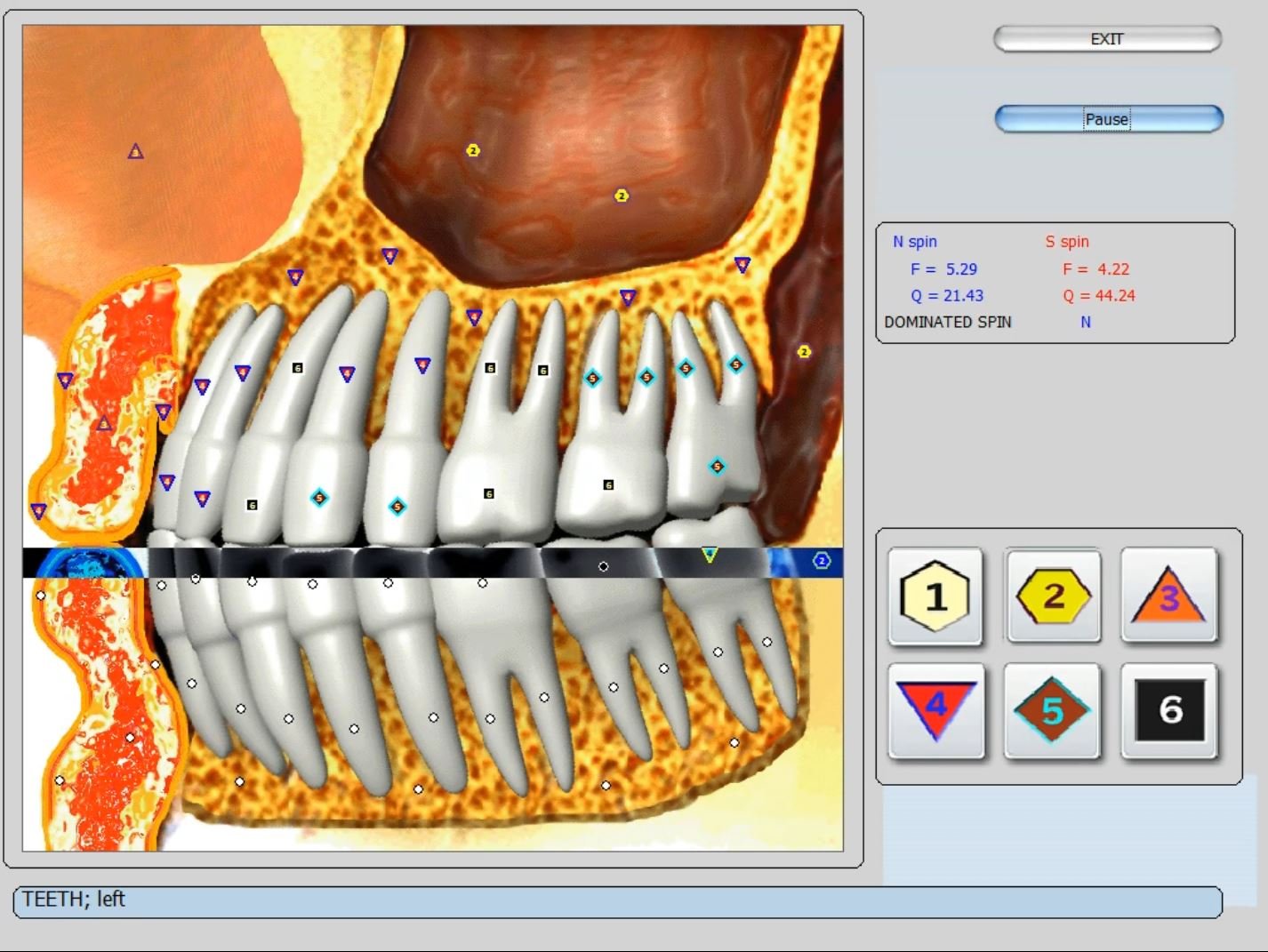 Biorezonans 8D NLS