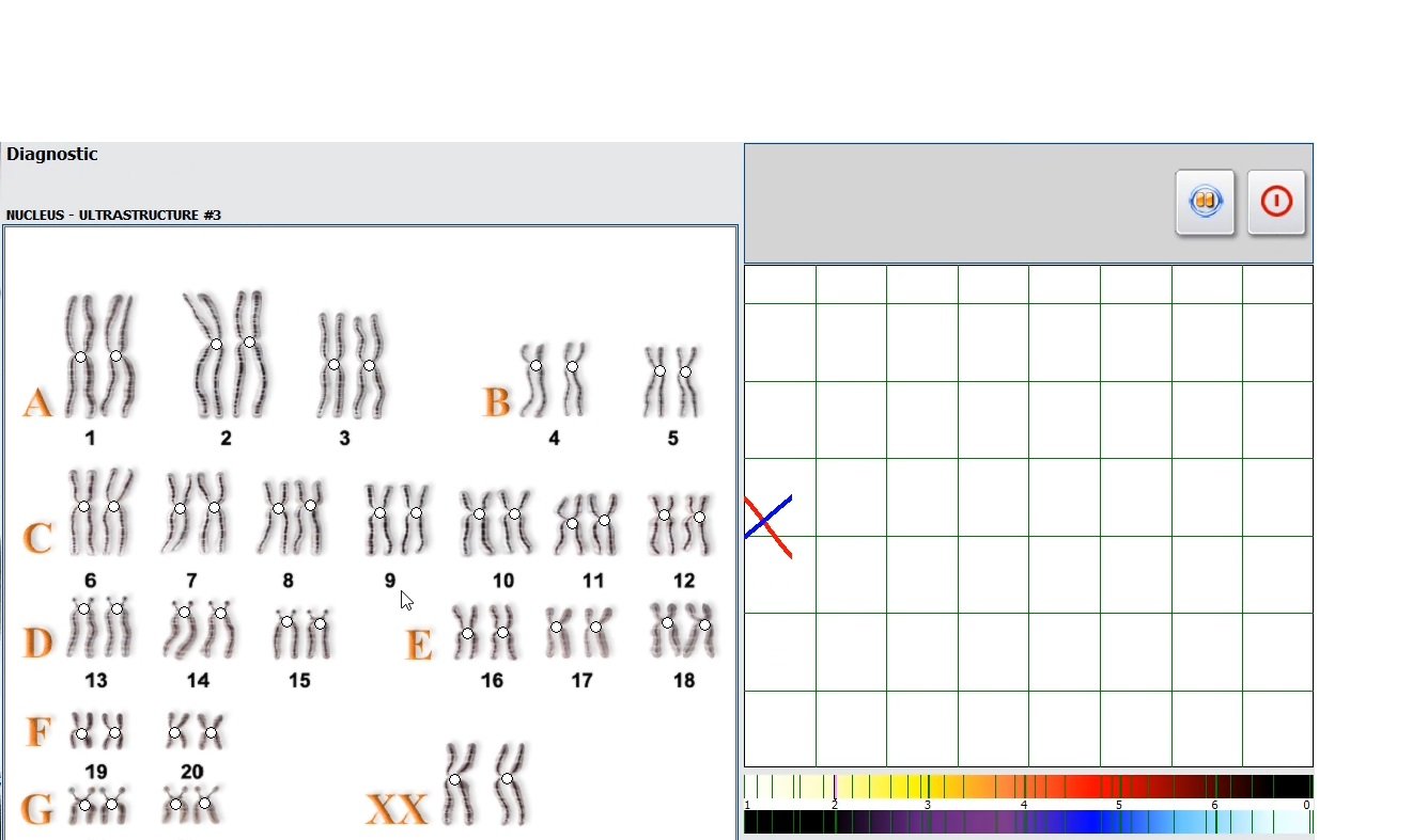 MAIKONG Hunter 4025 Metatron (4952)