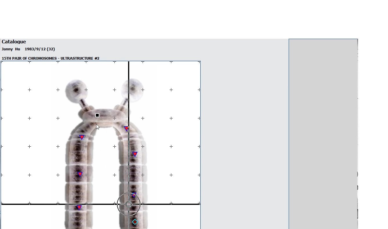 MAIKONG Hunter 4025 Metatron (4952)