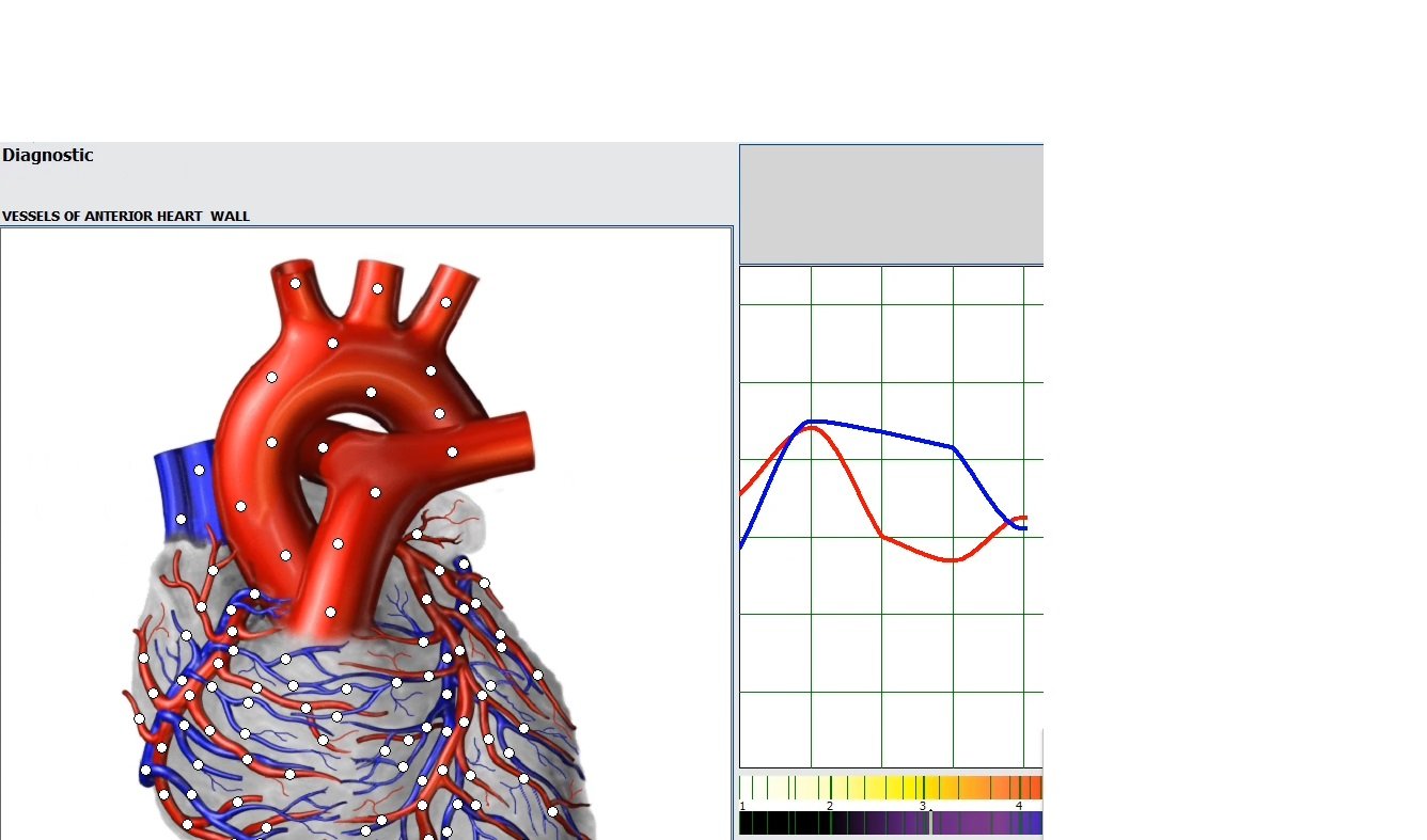 MAIKONG Hunter 4025 Metatron software