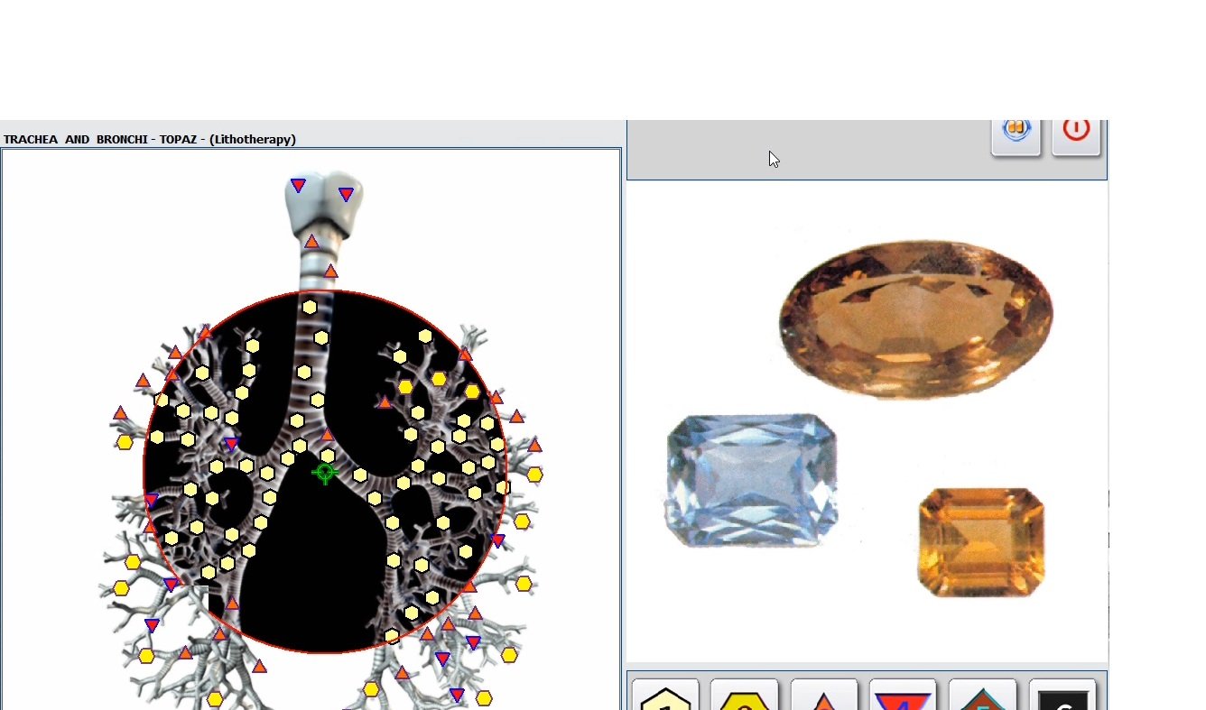 Biorezonans Badania NLS