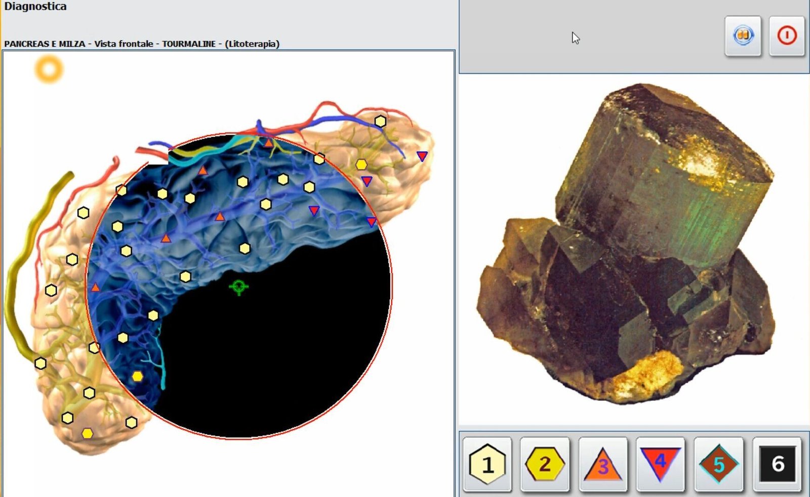 Biorezonans Koszalin