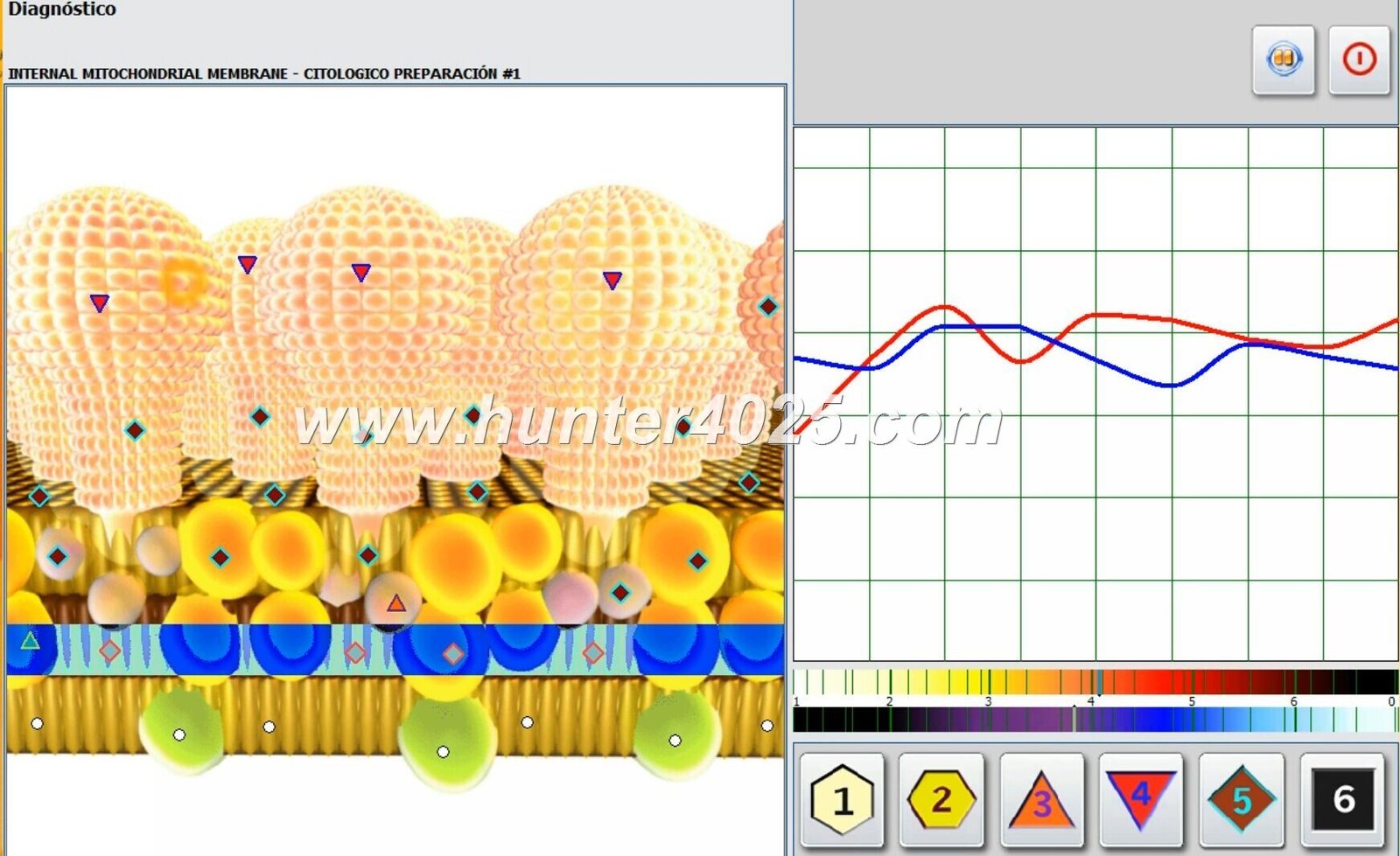 Urządzenie do biorezonansu