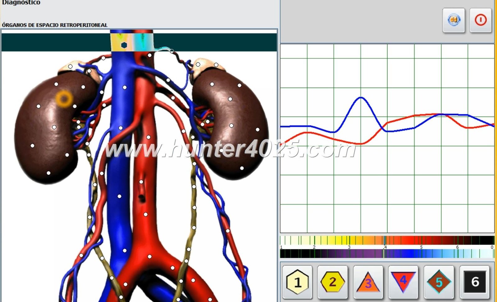 Biorezonans Zduńska Wola