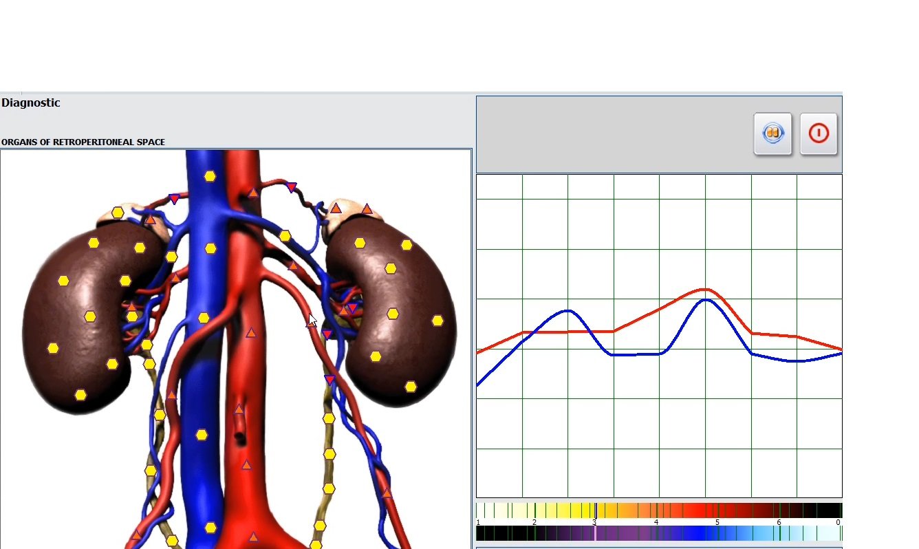 Biorezonans Badania NLS