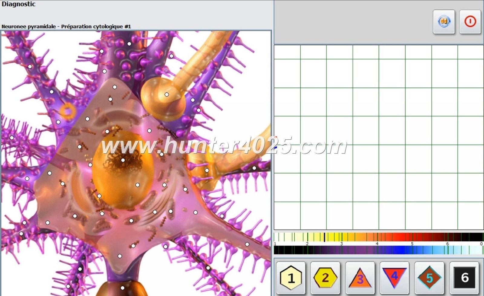 Biorezonans Badania NLS