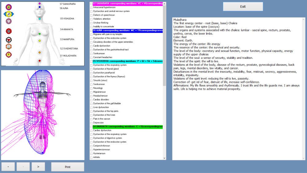 MAIKONG Hunter 4025 Metatron (733)