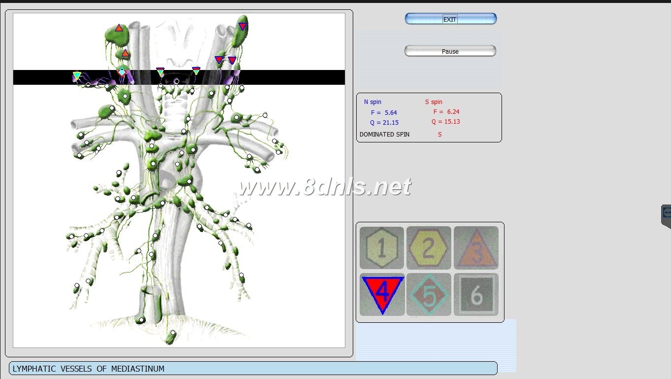 MAIKONG Hunter 4025 Metatron (733)