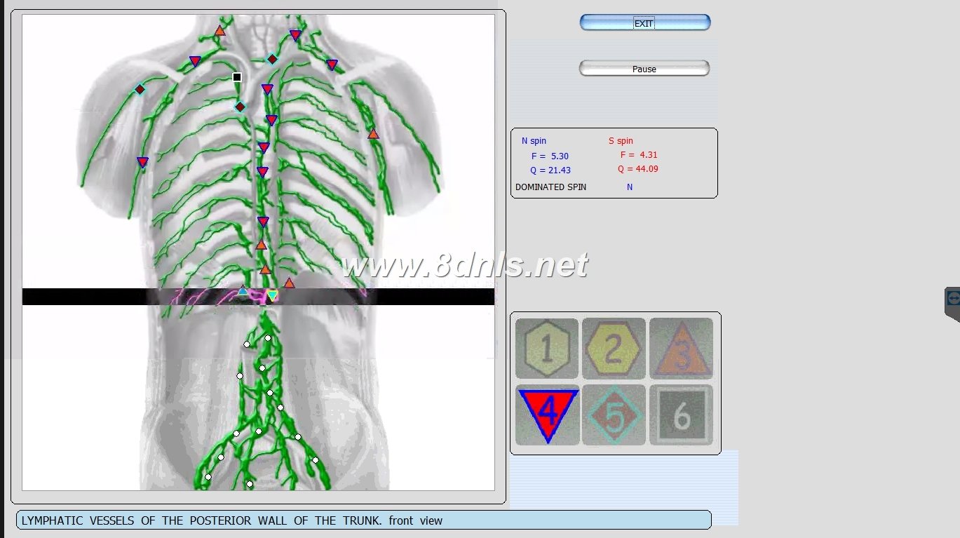 MAIKONG Hunter 4025 Metatron (733)