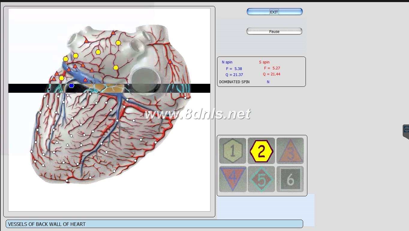 MAIKONG Hunter 4025 Metatron (733)