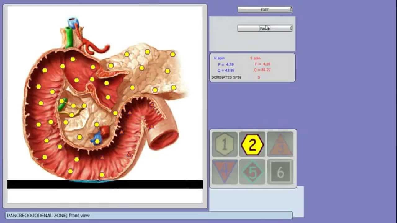 Urządzenie Biorezonans Metatron 4025 NLS