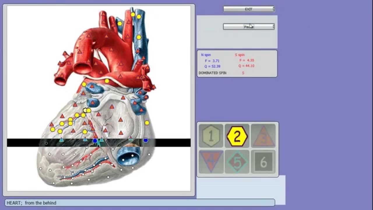 Urządzenie Biorezonans Metatron 4025 NLS