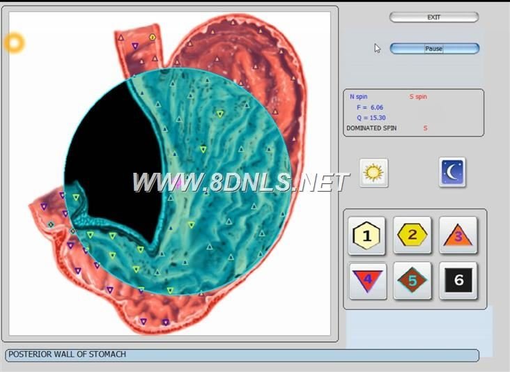 Nieliniowa Diagnostyka NLS