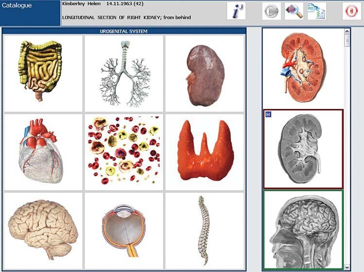 Urządzenie biorezonans racula MAIKONG w gabinecie diagnostycznym